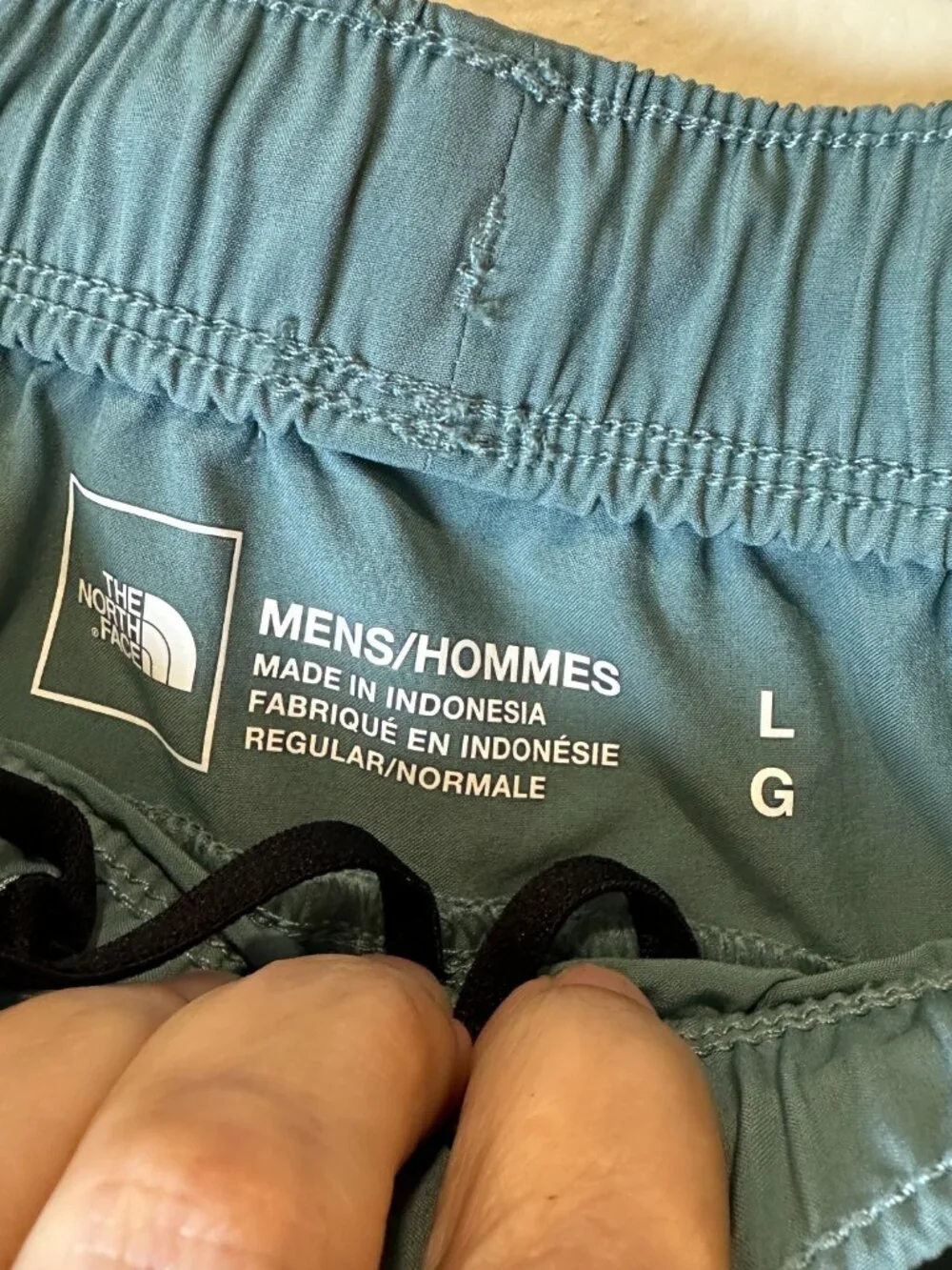 The North Face Men's Wander Shorts Teal Size Large Elastic Waist 3 Pocket